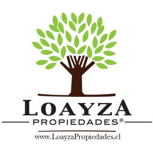 LOAYZA PROPIEDADES