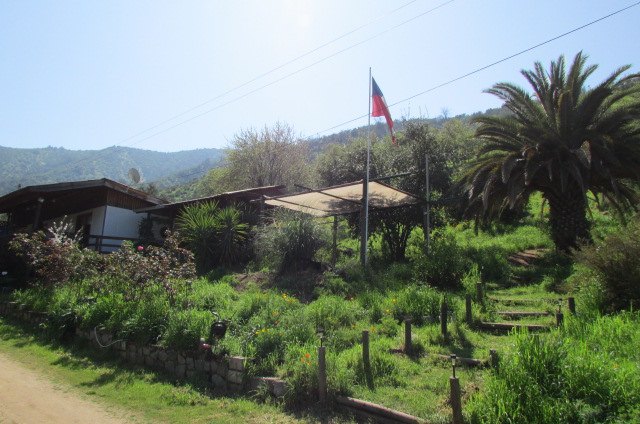 Loayza Propiedades®