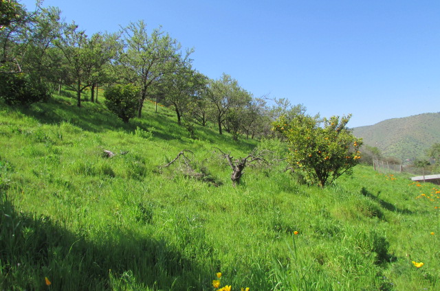 Loayza Propiedades®