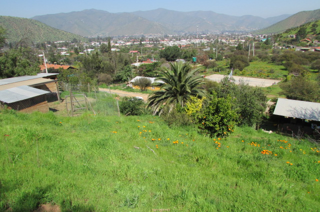 Loayza Propiedades®