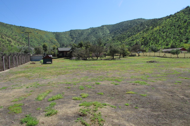 Loayza Propiedades®