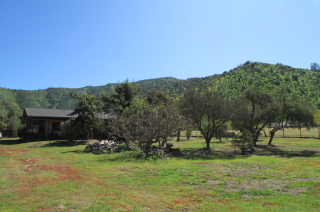 Loayza Propiedades®