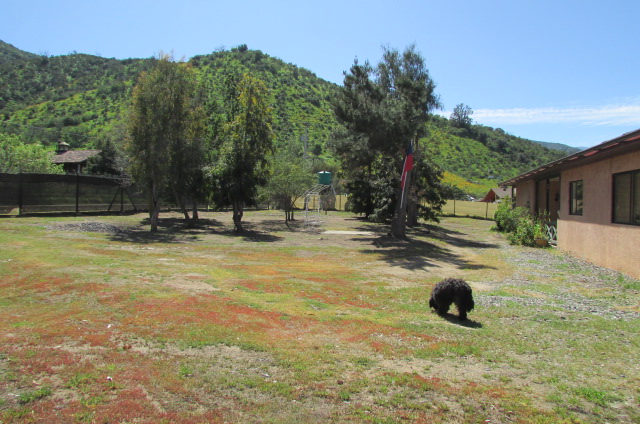 Loayza Propiedades®