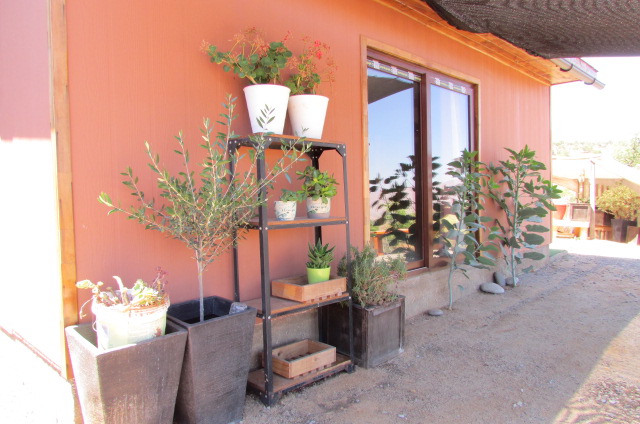 Loayza Propiedades®