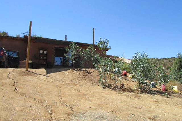 Loayza Propiedades®