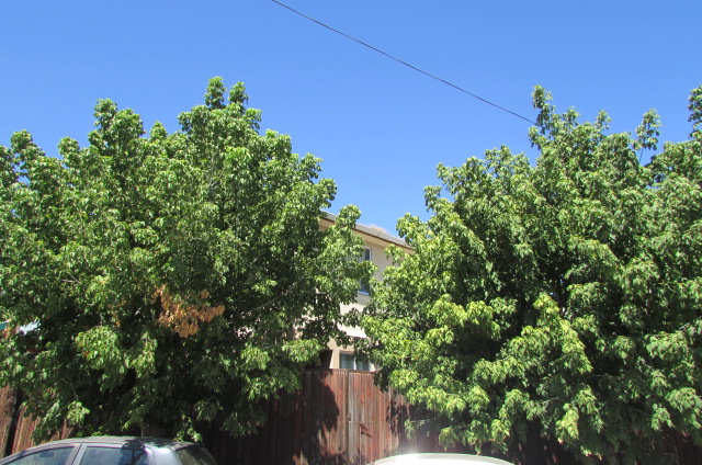 Loayza Propiedades®